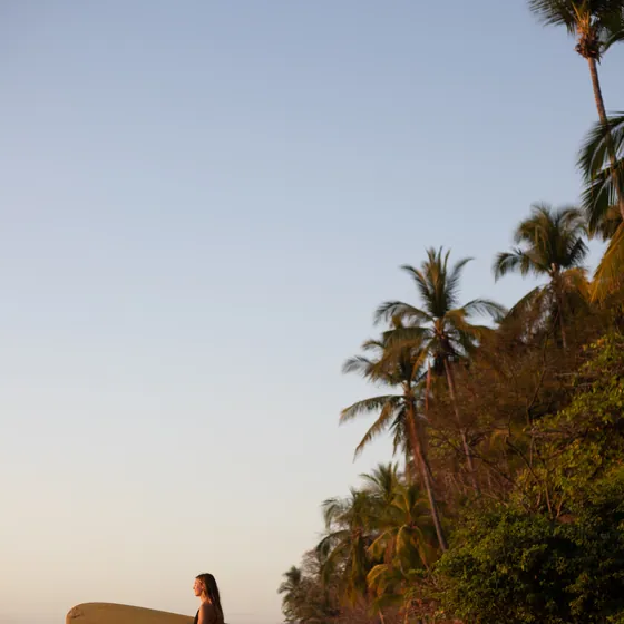 A sandy track lined with palms at golden hour