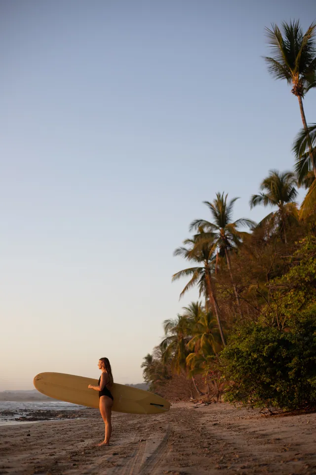 Charlotte walking a board down a sandy track lined with palms