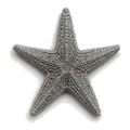 A starfish